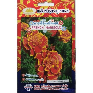 ดาวเรืองฝรั่งเศษ (French Marigold)50 เมล็ด (ไม่ใช่พืชที่มีชีวิต)