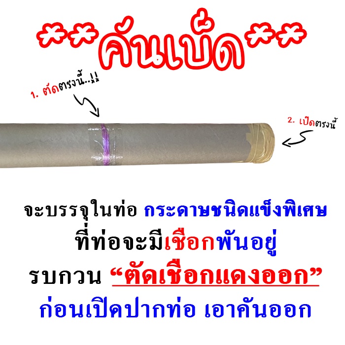 คันเบ็ด AKIRA X PAN BIGBANG ต่อโคน 6-12lb - รูปที่ 2