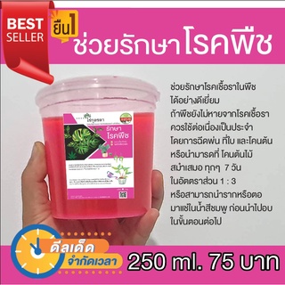 09 รักษาโรคพืช รากเน่า รากฟ่อ เป็นเชื้อรา หายเป็นอัศจรรย์ 250 ml ใช้ดีมาก ใช้ได้ได้นาน ใช้ได้กับพืชทุกชนิด