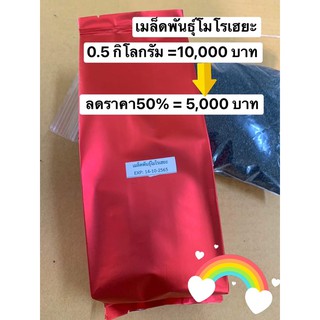 โมโรเฮยะครึ่งโลแบ่งขายได้กำไรสุด