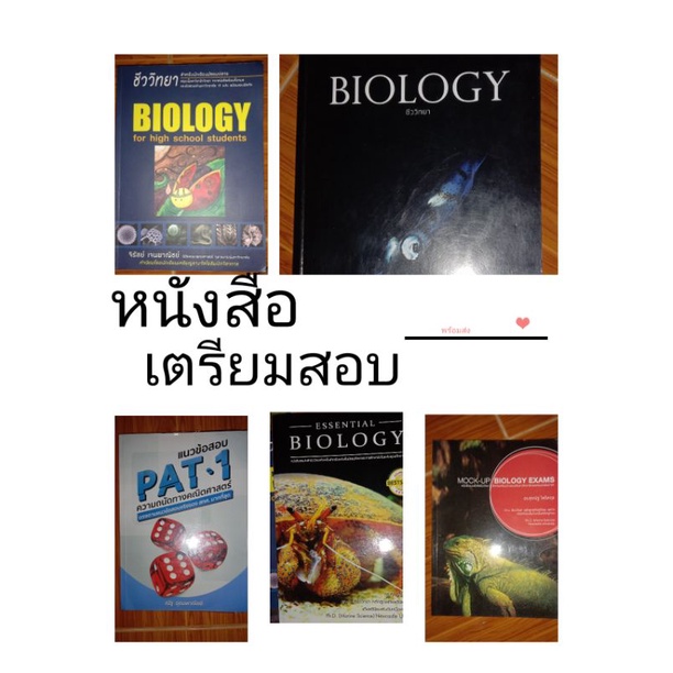 ชีวะเต่าทองไม่มีไฮไลต์ มีหลายเล่ม & ชีวะปลาหมึก