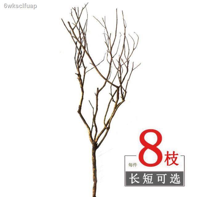 My Image 44