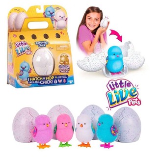 Little Live Pets Season 1 Surprise Baby Chick Master ลูกเจี๊ยบ ไข่ ไข่ฟัก เซอร์ไพรส์ surprise