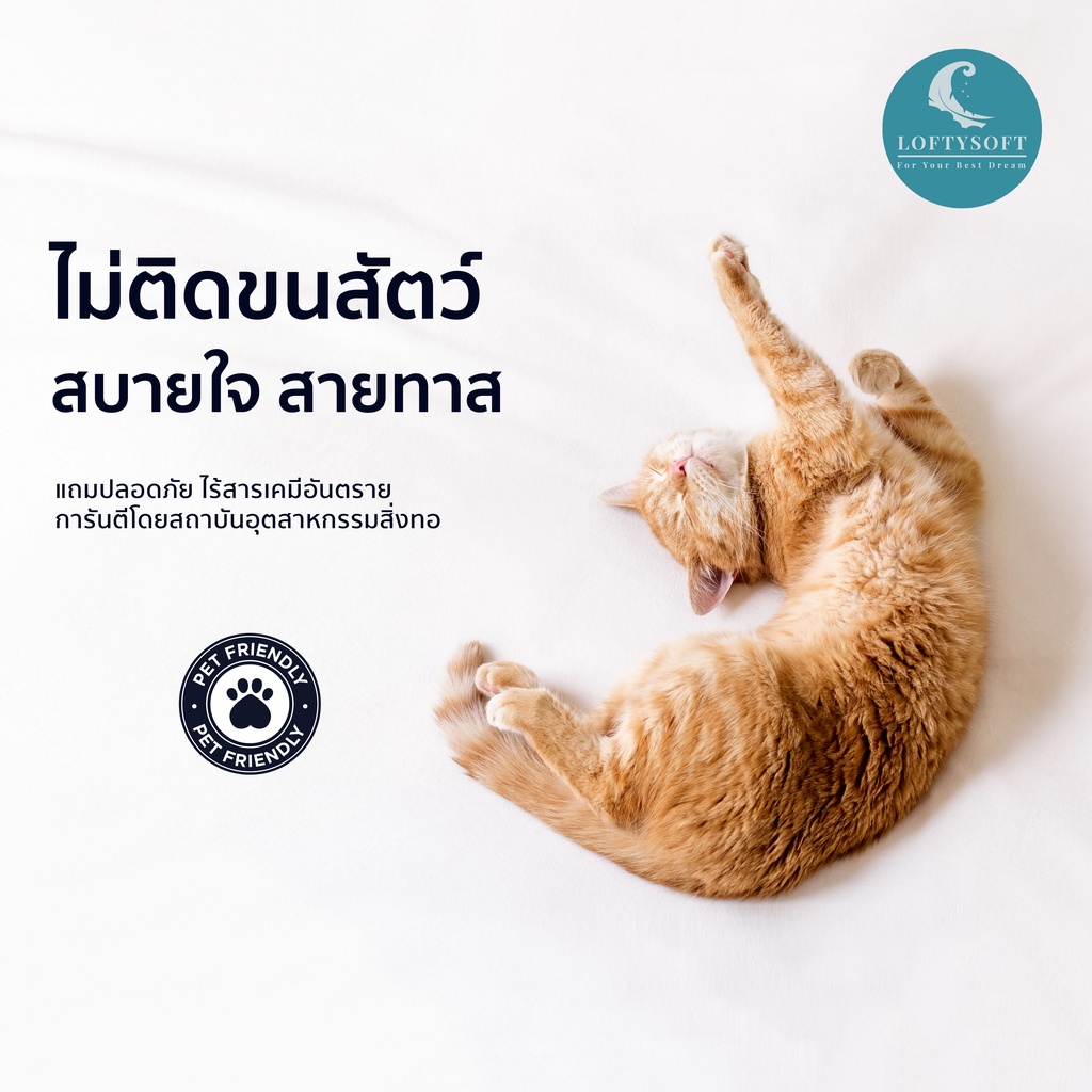 LOFTYSOFT ชุดผ้าปูที่นอน 6ฟุต KING, 5ฟุต QUEEN, 3.5ฟุต SINGLE Cotton Silk 550เส้นด้าย Charisma Collection - Morning Grey - รูปที่ 6