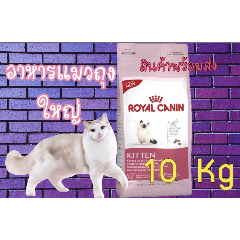 อาหารแมว rayal canin สูตรkitten 10kg(อาหารเม็ดแมวเด็ก)