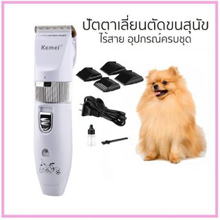 แบตตาเลี่ยนตัดขนหมา KEMEI KM-107 ถูกและดี