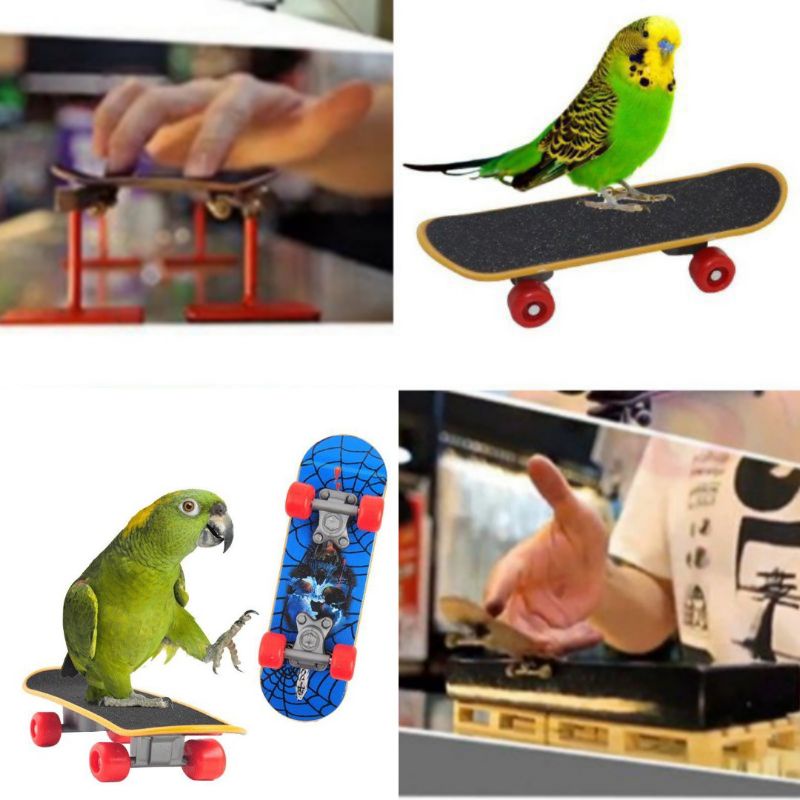 กระดานนก / สเก็ตบอร์ดนิ้ว Tech Truck Mini Skateboards Alloy Stent Party สเก็ตบอร์ดนก ของเล่นนกแก้ว 0