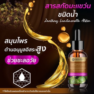 (สินค้ามีพร้อมส่ง) มะแขว่น Zanthoxy Lumlimonella Alston (High Concentration) เข้มข้นสูง ชนิดน้ำ ขนาด 25 มล.