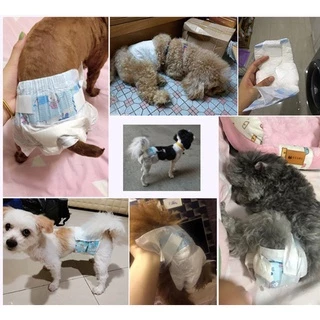 ผ้าอ้อมสุนัข หมา ผ้าอ้อมสัตว์เลี้ยง ชาย หญิง แพมเพิสสุนัข ผ้าอนามัยสุนัข Dog Diaper คุณภาพคุ้มค่า ใส่ดี เบาสบายตัว