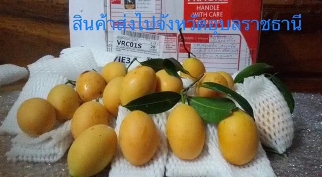 มะยงชิดนครนายก สวนวาสนา 18 - 20 ลูก/กิโลกรัม แท้ อร่อยมากๆ - รูปที่ 7