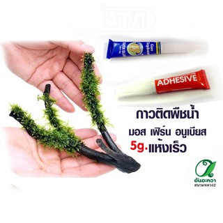 Aquascaping glue กาวติดต้นไม้น้ำ