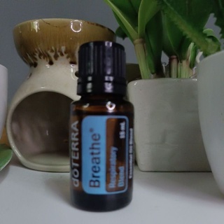 doTERRA Breathe ขนาด 15ml. +doTERRA ขนาดทดลอง