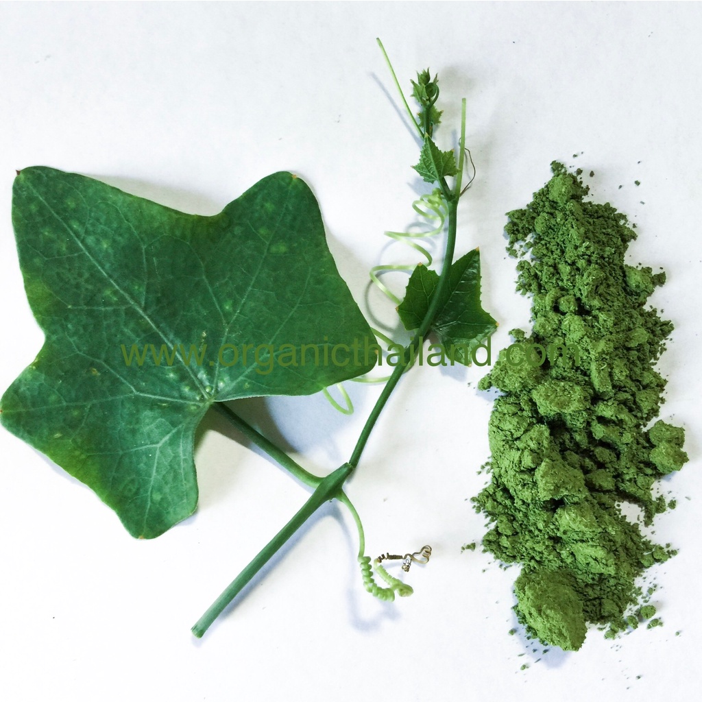 ตำลึง ตัวเมีย บดผง 1kg Ivy gourd powder