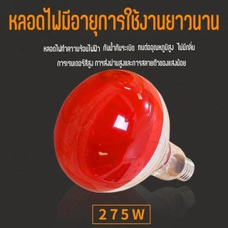 ปรับอุณหภูมิและมุมได้ ！ ไฟกายภาพบำบัด บรรเทาอาการปวดกายภาพบําบัด ไฟอินฟราเรด สีแดง โคมไฟอินฟราเรด Phototherapy Heat Lamp