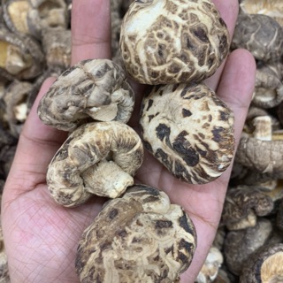 เห็ดหอมลายหนา(กลาง) 200กรัม花菇🍄200g