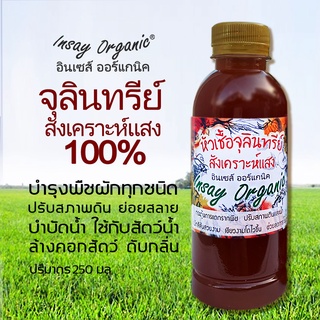 หัวเชื้อจุลินทรีย์สังเคราะห์แสง INSAY ORGANIC (250มล.) ใช้บำรุงพืชผัก  ปรับสภาพดิน บำบัดน้ำ ใช้เลี้ยงสัตว์  ดับกลิ่นท่อ