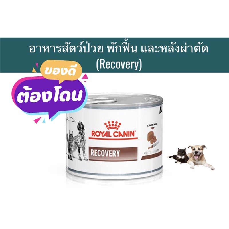 (หมดอายุ:  27/09/2027)  royal canin อาหารสัตว์ป่วย พักฟื้น และผ่าตัด recovery 3 กระป๋อง
