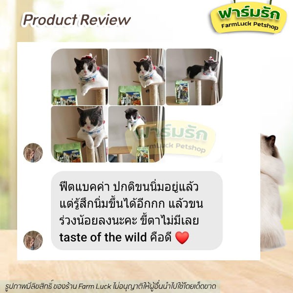 【แบ่งขาย】อาหารแมว Taste of the wild ครบทุกสูตร ช่วยส่งเสริมระบบภูมิคุ้มกัน มีโอเมก้า 3,6