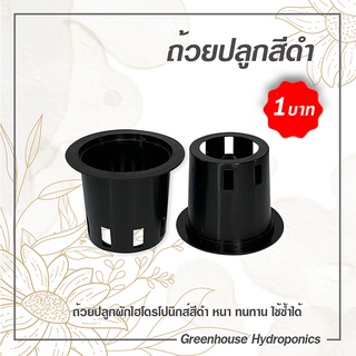 ถ้วยปลูกผักไฮโดรโปนิกส์สีดำ 1 ชุด จำนวน 10 ใบ