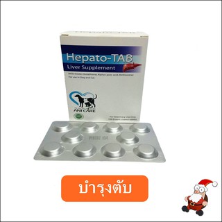 Hepato Tab วิตามินบำรุงตับสำหรับสุนัขและแมว 100เม็ด