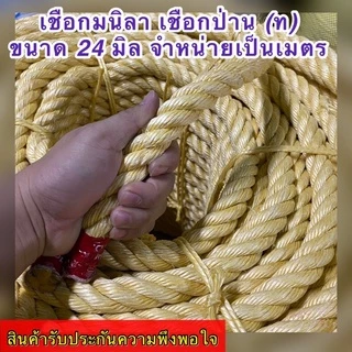 เชือกมนิลา เชือกป่าน (ท) เกรด A จำหน่ายปลีกเป็นเมตร (ราคาต่อ 1 เมตร) มีขนาดให้เลือก 20,24 มิล สินค้าอยู่ในตัวเลือก