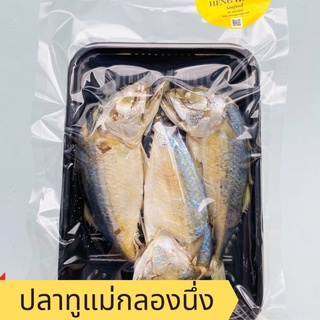 พร้อมส่ง! ปลาทูแม่กลองนึ่ง 3 ตัว / Heng Heng Seafood