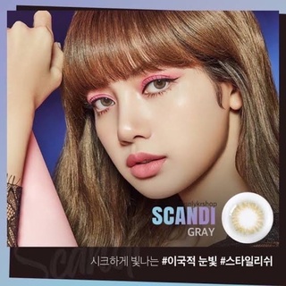 ScandiGrayคอนแทคเลนส์สแคนดิสีเทาสวยไม่ไหว