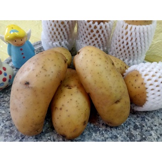 มันฝรั่ง มัน มันออแกนิก ไร้สาร แหล่งปลูก ดอยมูเชอ จ.ตาก5kg.390บาท พร้อมส่งทุกวัน
