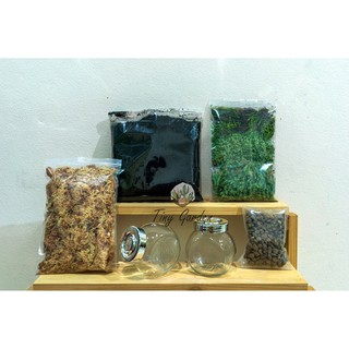 สวนขวด ชุด DIY Terrarium Set A