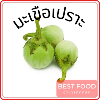 มะเขือเปราะ Thai eggplant