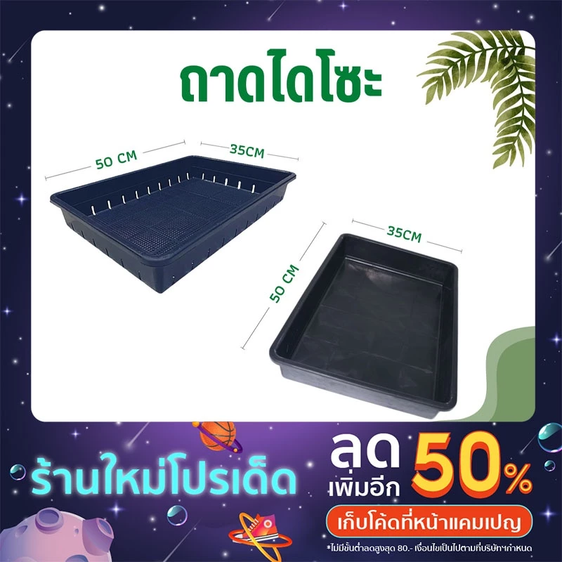 ถาดไดโซะ ขนาดใหญ่ ถาดเพาะเมล็ด ถาดแคคตัส
