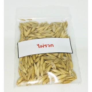 ลดราคาถูกพิเศษ เมล็ดพันธุ์ไผ่รวก hyrsostachys siamensis Gamble ไม้พุ่ม พันธุ์ไผ่ 100 เมล็ด