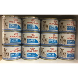 Royal Canin Starter Mother &amp; Baby Dog (12กระป๋อง) อาหารเปียกสำหรับแม่สุนัขและลูกสุนัข 195 กรัม