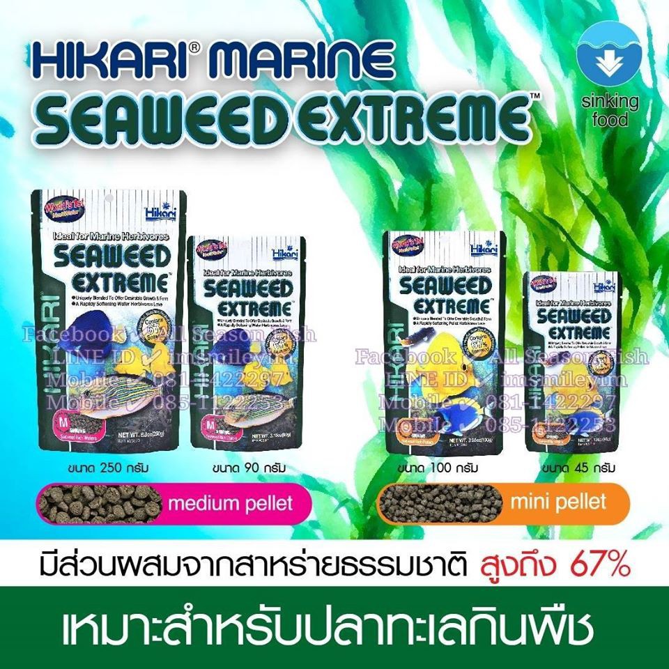 HIKARI > Seaweed Extreme อาหารปลาทะเล ชนิดเม็ดจมน้ำ