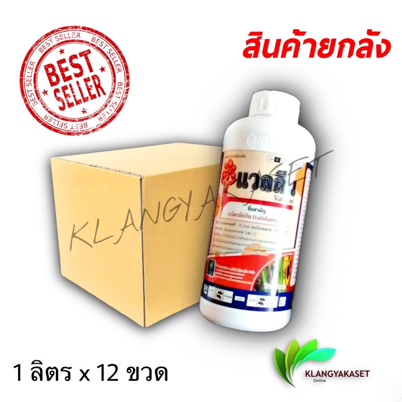 ยกลัง แวลลีน 12 ขวด วาลิดา วาลิดามัยซิน สารกำจัดโรคพืช ใบติดทุเรียน ยาเชื้อราข้าว ยาเชื้อราทุเรียน