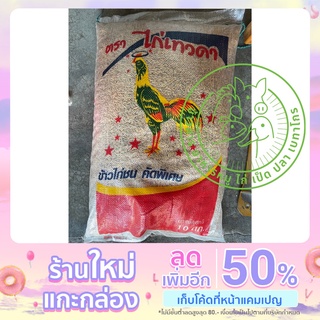 ข้าวเปลือกไก่ชน เม็ดยาว ไก่เทวดา แบ่งขาย 1 กก.