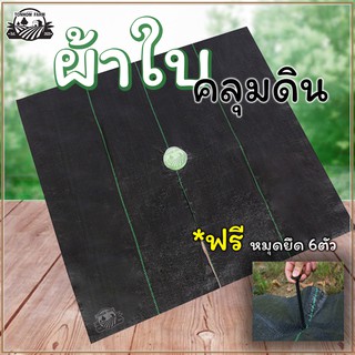 ผ้าใบคลุมดิน1.2เมตร พลาสติก (PP) ป้องกันวัชพืช รักษาความชื้น (สินค้าพร้อมส่ง)