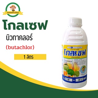 🔺 โกลเซฟ บิวทาคลอร์ (butachlor)