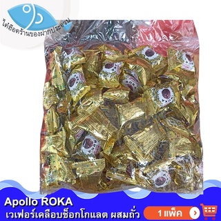 ไต๋ฮ๊อด Apollo ROKA เวเฟอร์เคลือบช็อกโกแลตผสมถั่ว 1แพ็ค 500กรัม Chocolate ช็อกโกแลต ช็อคโกแลต ช๊อกโกแลต ช๊อคโกแลต ขนม