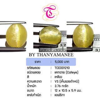 พลอยแคทอาย Cateye ขนาด 12x10.5x5.9 มม. พลอยแท้ มีใบรับรอง