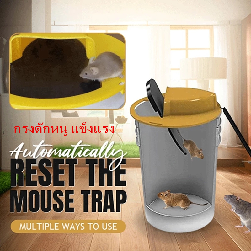 CODMouse Trap กรงดักหนู แข็งแรง ทนทาน กับดักหนู ที่ดักหนู กรงหนู กรงดักหนูแบบสปริง