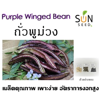 เมล็ดถั่วพูม่วง 10 บาท 5 เมล็ด เพาะง่าย อัตราการงอกสูง  (ผัก ผักสวนครัว เมล็ดผัก เมล็ดพันธุ์ผัก ผักอินทรีย์  )