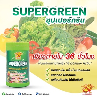 พลังเขียว ซุปเปอร์กรีน Supergreen (100 กรัม) ฮอร์โมนพืช ปุ๋ยทางใบ ใบเขียว ยอดพุ่งไว แตกกอดี มีรากเยอะ ทนแล้ง ทนหนาว