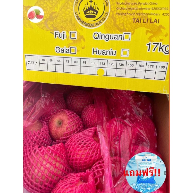 แอปเปิ้ลฟูจิ (ยกลัง) APPLE FUJI (CHN) ~ลดพิเศษ~ ผลไม้สด แอปเปิ้ลสด ผลไม้ต่างประเทศ ผลไม้พรีเมี่ยม ขา