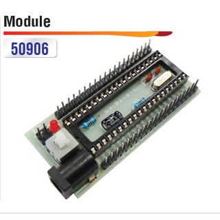 Module ทอลอง 40ขา 8051