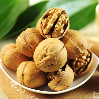 วอลนัท walnuts ถั่ววอลนัท วอลนัต แฮมสเตอร์ กระรอก สัตว์ฟันแทะ สัตว์เลี้ยง สัตว์เล็ก 5 ชิ้น 10 ชิ้น