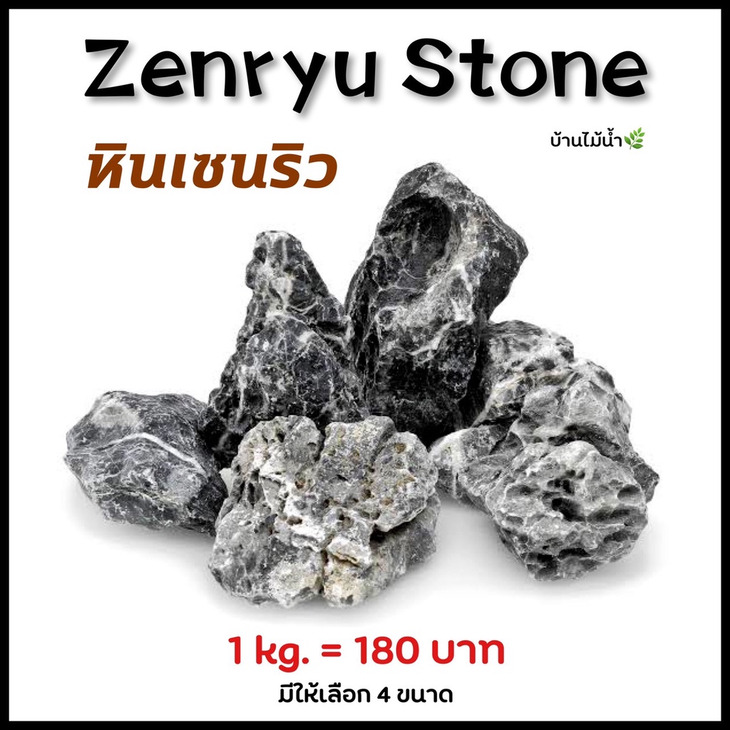 หินเซนริว Zenryu Stone เซนริว ตกแต่ง ตู้ไม้น้ำ ตู้ปลา หินจัดสวน เทอร์ราเรียม | บ้านไม้น้ำ🌿