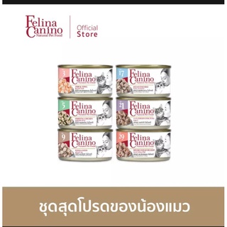 felina canino อาหารเปียกน้องแมว 85g.