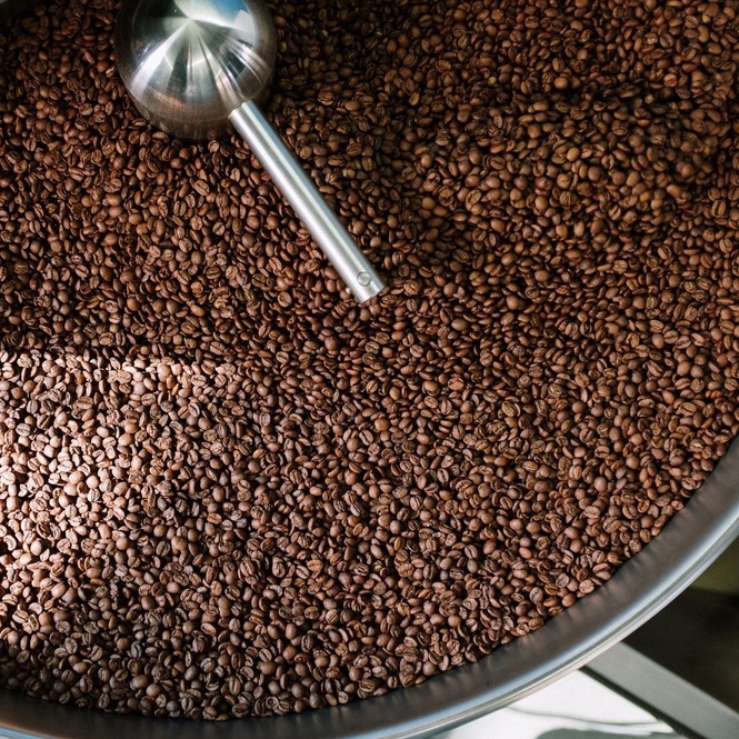 🔥 กาแฟปางขอน (Pangkhon) จ.เชียงราย อาราบิก้า 100% กาแฟคั่วใหม่ Simply Coffee Roasters - รูปที่ 4