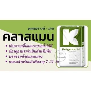 คลาสแมน K113 พอทกราวน์เอช KLASMANN วัสดุเพาะ ดินเพาะ พีทมอส Peat Moss 70ลิตร 25กก. เยอรมัน ดินปลูกคุณภาพสูง พีทดำ70%